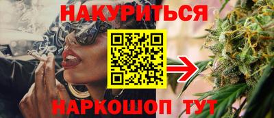 гидра Гай